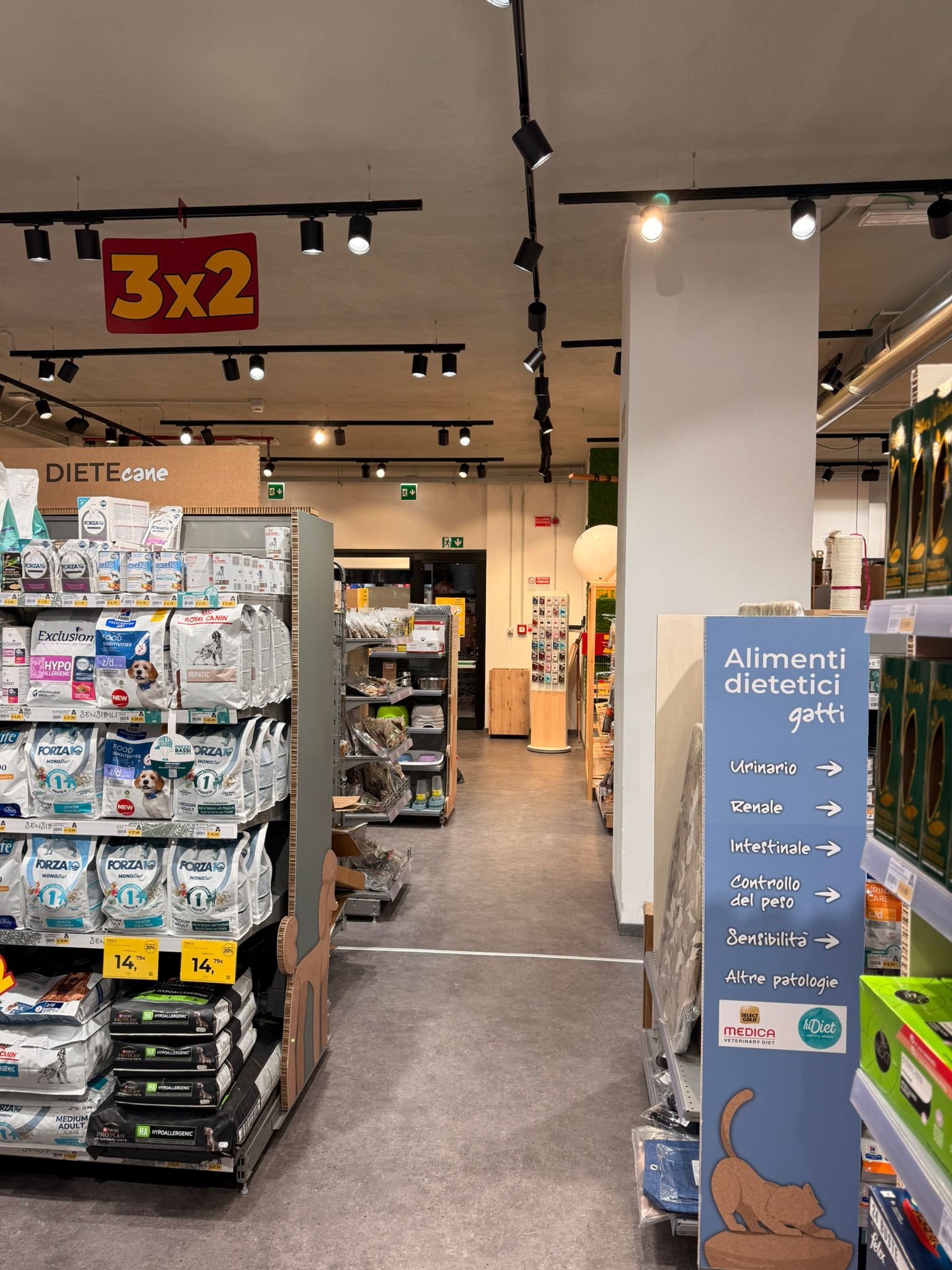 Immagine Arcaplanet Tempio Pausania