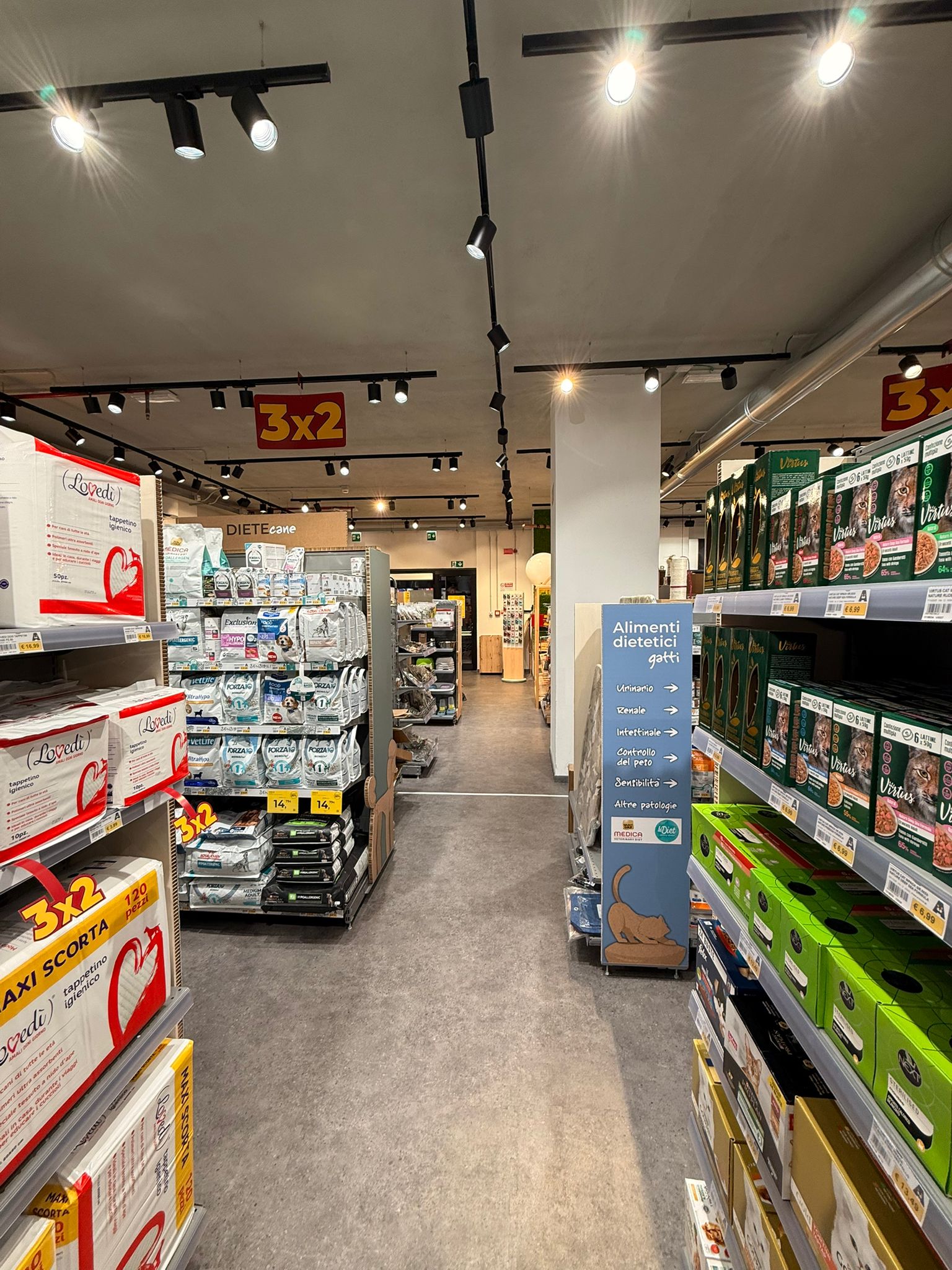 Immagine Arcaplanet Tempio Pausania