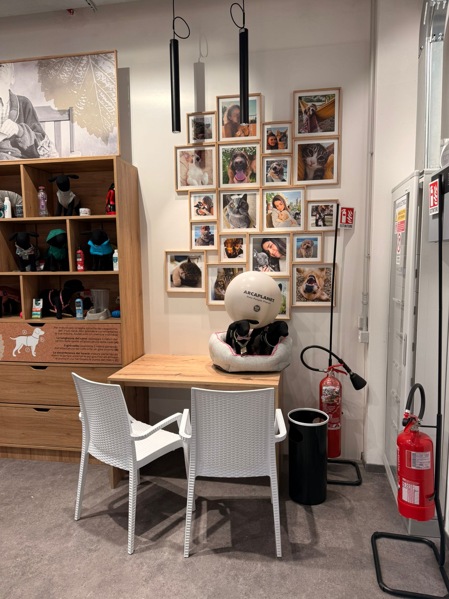 Immagine Arcaplanet Tempio Pausania