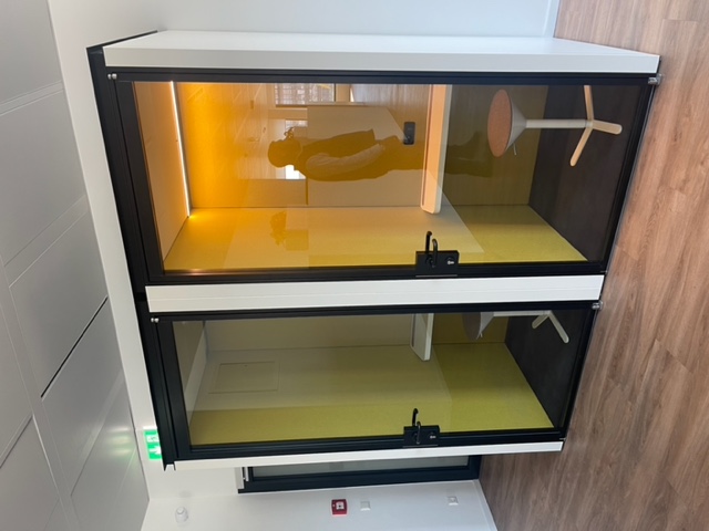 Immagine Intesa San Paolo Madrid e Lussemburgo